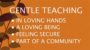 Gentle teaching forside